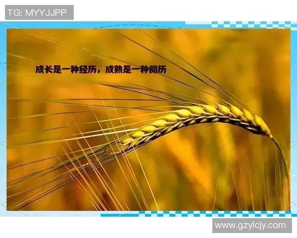 景菡一的成长旅程与心灵探索:从平凡到卓越的蜕变之路 景菡一的成长旅程与心灵探索:从平凡到卓越的蜕变之路